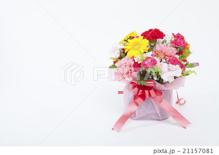 カーネーションの花束　白背景 21157081
