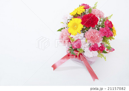 カーネーションの花束　白背景 21157082