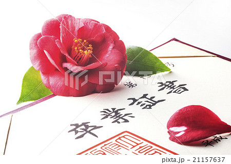 卒業証書 21157637