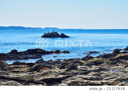 荒崎海岸 21157638