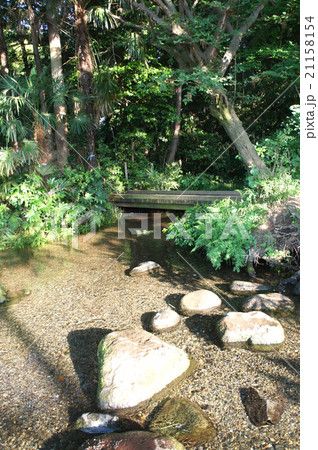 小川に浮かぶ石 21158154