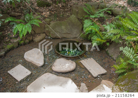 清正井 清正井 21158264