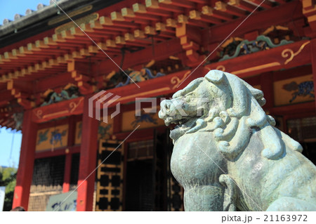 浅草神社と狛犬 浅草神社と狛犬 21163972