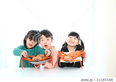 ベニズワイガニと子供達 ベニズワイガニと子供達 21165566