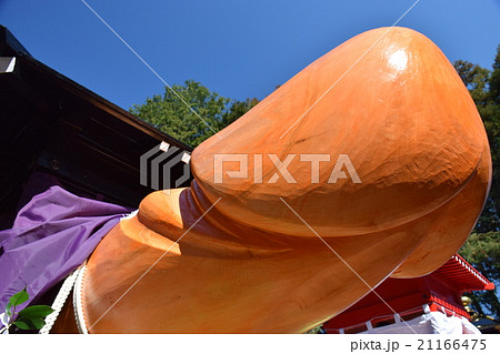 愛知　子宝祈願の田縣神社（小牧）　豊年祭　ご神体 21166475