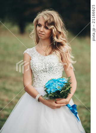 Luxuty portrait of blonde bride with bridal Luxuty portrait of blonde bride with bridal 21166625