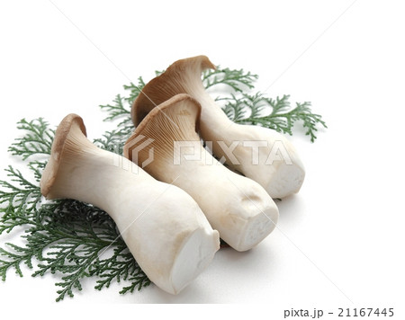 エリンギ エリンギ 21167445