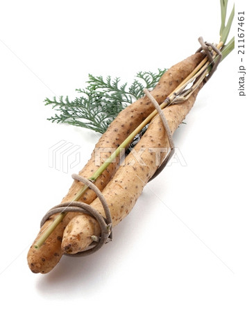 山芋 山芋 21167461