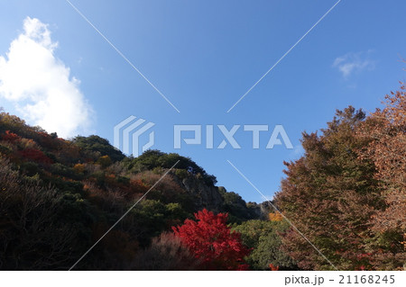 秋の寒霞渓。紅雲亭駅前の紅葉 21168245