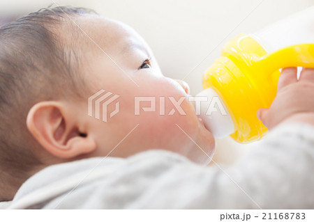 6 months old 6 months old 21168783