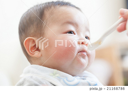 6 months old 6 months old 21168786