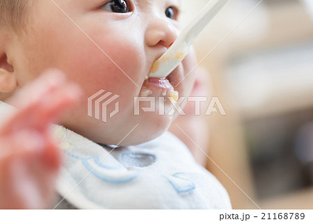 6 months old 6 months old 21168789