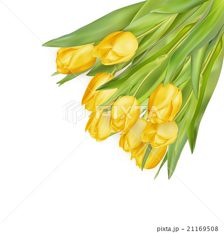 Bouquet of yellow tulips. EPS 10 Bouquet of yellow tulips. EPS 10 21169508