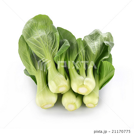 Bok choy vegetable on white background 21170775