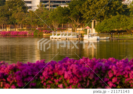 Bangkok City 21171143