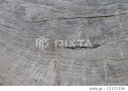 Old wood texture 21171336