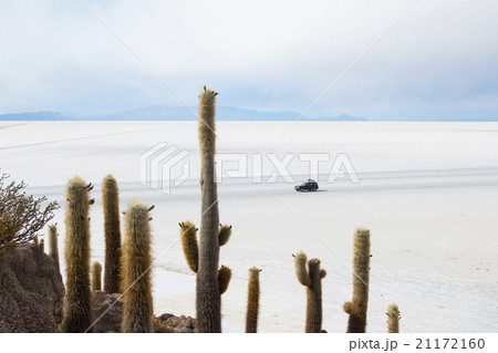 View of the Bolivian salt flats 21172160
