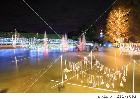 武蔵丘陵森林公園　紅葉見ナイト 21173092