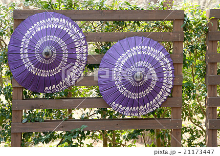 蛇の目傘 21173447