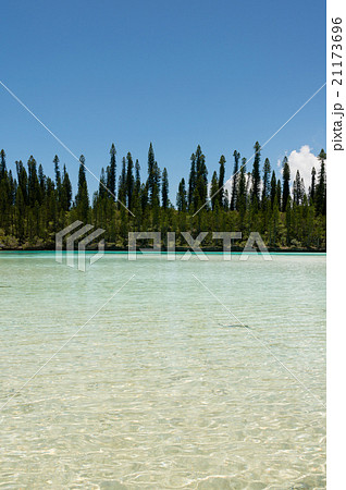 ピッシンヌ・ナチュレル　（ニュー・カレドニア、イル・デ・パン） 21173696