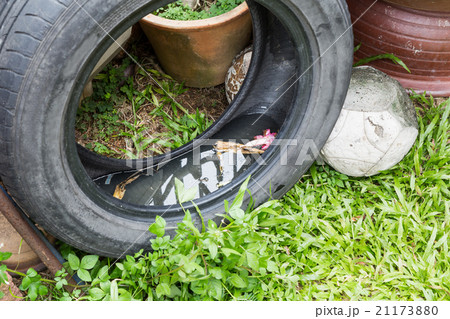 Used tyres store stagnant water and mosquito breed Used tyres store stagnant water and mosquito breed 21173880