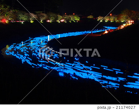 夜桜☆流れ星 21174027