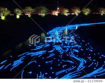 夜桜☆流れ星 21174030