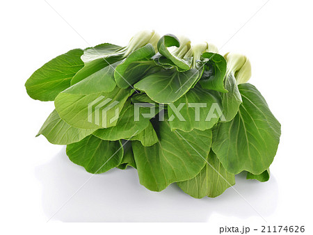 Bok choy vegetable on white background 21174626