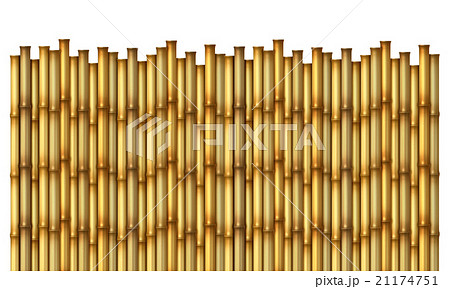 Bamboo Fence Stock Illustration