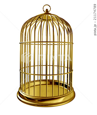 Bird Cage 21174789
