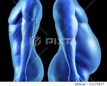 Human Body Shape Comparison 21174817
