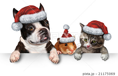 Christmas Pet sign Christmas Pet sign 21175069