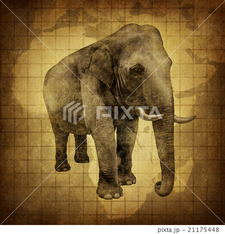 Elephant On a Grunge Texture 21175448