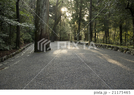 伊勢神宮内宮の神域の朝 21175465