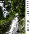 天滝と緑 21175658