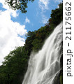 天滝 21175662
