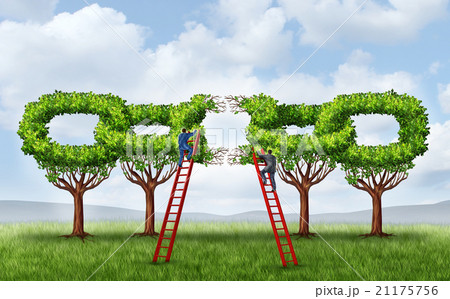 Growing A Business Partnership 21175756
