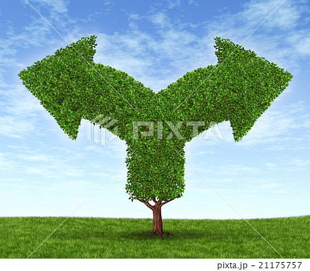 Growing Business Dilemma 21175757