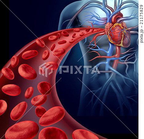 Heart Blood Health 21175829