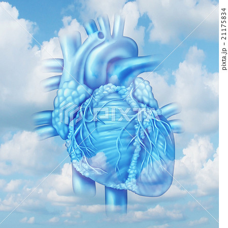 Heart Health 21175834