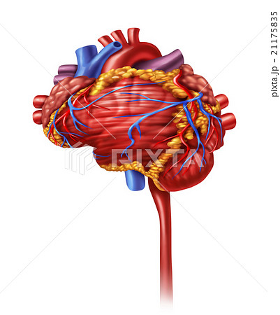 Heart Intelligence 21175835