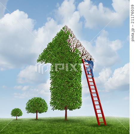 Investing Advice Investing Advice 21176039