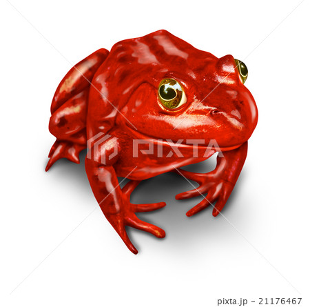Red Frog 21176467