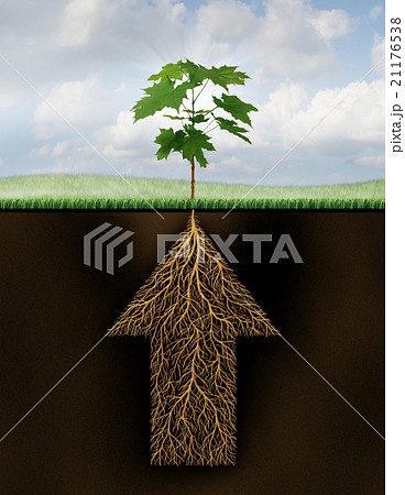 Root Of Success Root Of Success 21176538