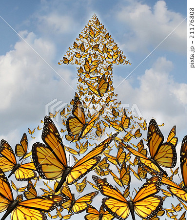 Together For Success 21176808