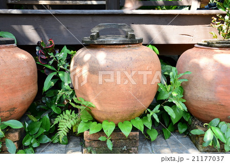 water jar in Thailand style 21177037