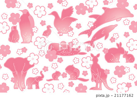 動物と桜 動物と桜 21177162