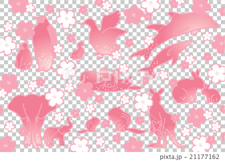 動物と桜 動物と桜 21177162