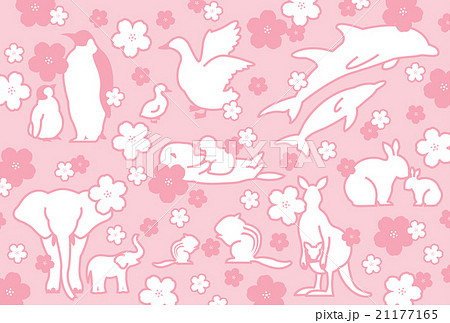 動物と桜 動物と桜 21177165