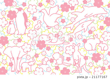 動物と桜 動物と桜 21177167